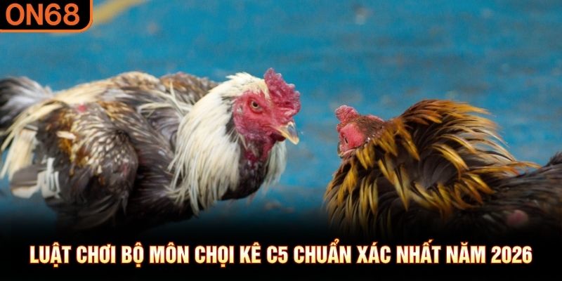 Luật chơi bộ m&ocirc;n chọi k&ecirc; C5 chuẩn x&aacute;c nhất năm 2026